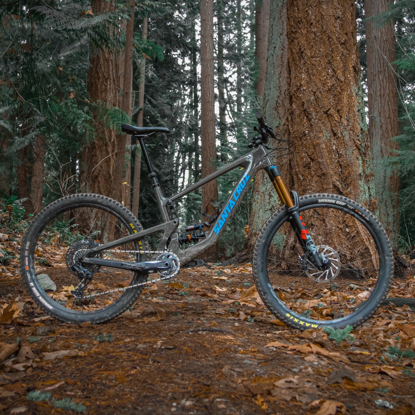 Lien V4 Bronson LT